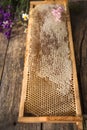 Honeycomb and wooden honey dipper. Raw honey. Natural honey, closeup view Royalty Free Stock Photo