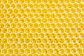 Honeycombs