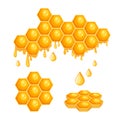 Honeycombs with Bee Honey, Hexagon Cells with Dripping Sweet Liquid Isolated on White Background. Healthy Sweets Royalty Free Stock Photo