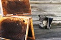 Honeycombs and beekeepers tool making smoke on the bench near the wall