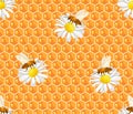 Honeycombs, daisies flowers and bees seamless pattern. Vector illustration of flower honey Royalty Free Stock Photo