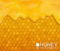 Honeycombs and flowing honey, vector background.