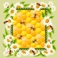 Honeycombs in a frame with daisies.