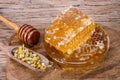 Honeycombs and honey spoon and dried chamomile flowers Royalty Free Stock Photo