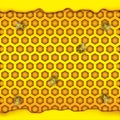 Honeycombs in the shape of hexagon, puddle of honey, bee. Vector illustration