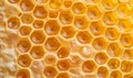 Honeycombs with sweet golden honey on whole background Royalty Free Stock Photo