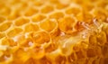 Honeycombs with sweet golden honey on whole background Royalty Free Stock Photo