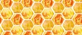 Honeycombs with sweet golden honey on whole background Royalty Free Stock Photo