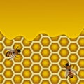 Honeycombs vector illustration.