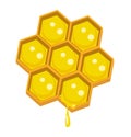 Honeycomp