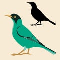 Honeycreeper bird vector illustration flat style black silhouette Royalty Free Stock Photo