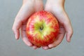 Honeycrisp Apple held in palms of a child Royalty Free Stock Photo