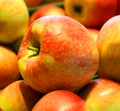 Honeycrisp Malus pumila is an apple cultivar cultivated variety