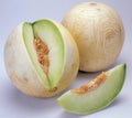 Honeydew