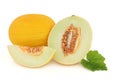 Honeydew Melon