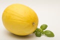 Honeydew melon isolated on a white background Royalty Free Stock Photo