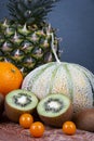 Honeydew melon, pineapple, some kiwifruits, oranges, lemons, Barbary fig and some Chinese lantern fru Royalty Free Stock Photo