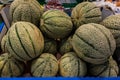 Honeydew melons Royalty Free Stock Photo