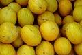 Honeydew Melons at Market, Moulay Idriss Zerhoun, Morocco Royalty Free Stock Photo