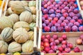 Honeydew melons and plums Royalty Free Stock Photo