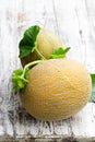 Honeydew melons with sprig on white wooden table Royalty Free Stock Photo