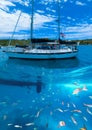 Honeymoon Beach on St. Thomas, USVI Royalty Free Stock Photo