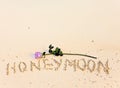 `Honeymoon` inscription on sea coast and a blossoming rose
