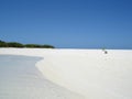 Honeymoon Island 1