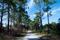 Honeymoon Island State Park in Florida