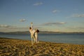 Honeymoon, just married concept. Man and woman dancing, couple happy on vacation. Couple in love running on beach