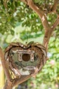 Honeymoon suite -wodden birds tree house in garden in a shape of