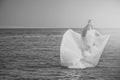 Honeymoon trip. Bride on sunny summer day on blue water Royalty Free Stock Photo