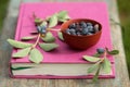 Honeysuckle berries in bowl on the fuchsia book on wooden surface