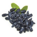Honeysuckle blue berry fruits on white background