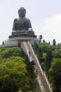 Hong Kong Big Buddha statue Lantau Island, vertical Royalty Free Stock Photo