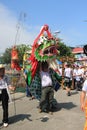 Festival, carnival, event, tradition, fÃÂªte, parade, tree, recreation