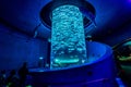 Hong Kong, China - Giant fish tank in Ocean Park aquarium