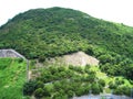 Green mountains with green trees in the residential area in Hong Kong