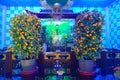 HONG KONG, CHINA - JANUARY 26, 2017: Beautifull and small tree of mandarins inside of Tsz wan temple, in Hong Kong