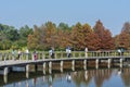 Wooden trail in landmark Hong Kong Wetland Park