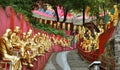 HONG KONG, CHINA - MARCH 13: Buddha Statue Ten Thousand Buddhas Monastery Hong Kong