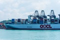 Hong Kong, China - panorama , morning view on the container terminal.