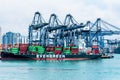 Hong Kong, China - panorama , morning view on the container terminal.