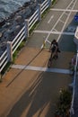 Hong Kong cyclist rides his bike on a path in Tai Po