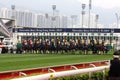 Hong Kong Derby 2009