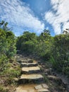 Hong kong dragons back hiking trail tourism attractions