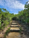 Hong kong dragons back hiking trail tourism tourist attractions