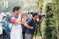 Hong Kong Flower Show