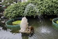 Hong Kong. The garden near the Chinese temple. Royalty Free Stock Photo