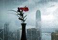 Hong Kong harbour view in a rainny day Royalty Free Stock Photo